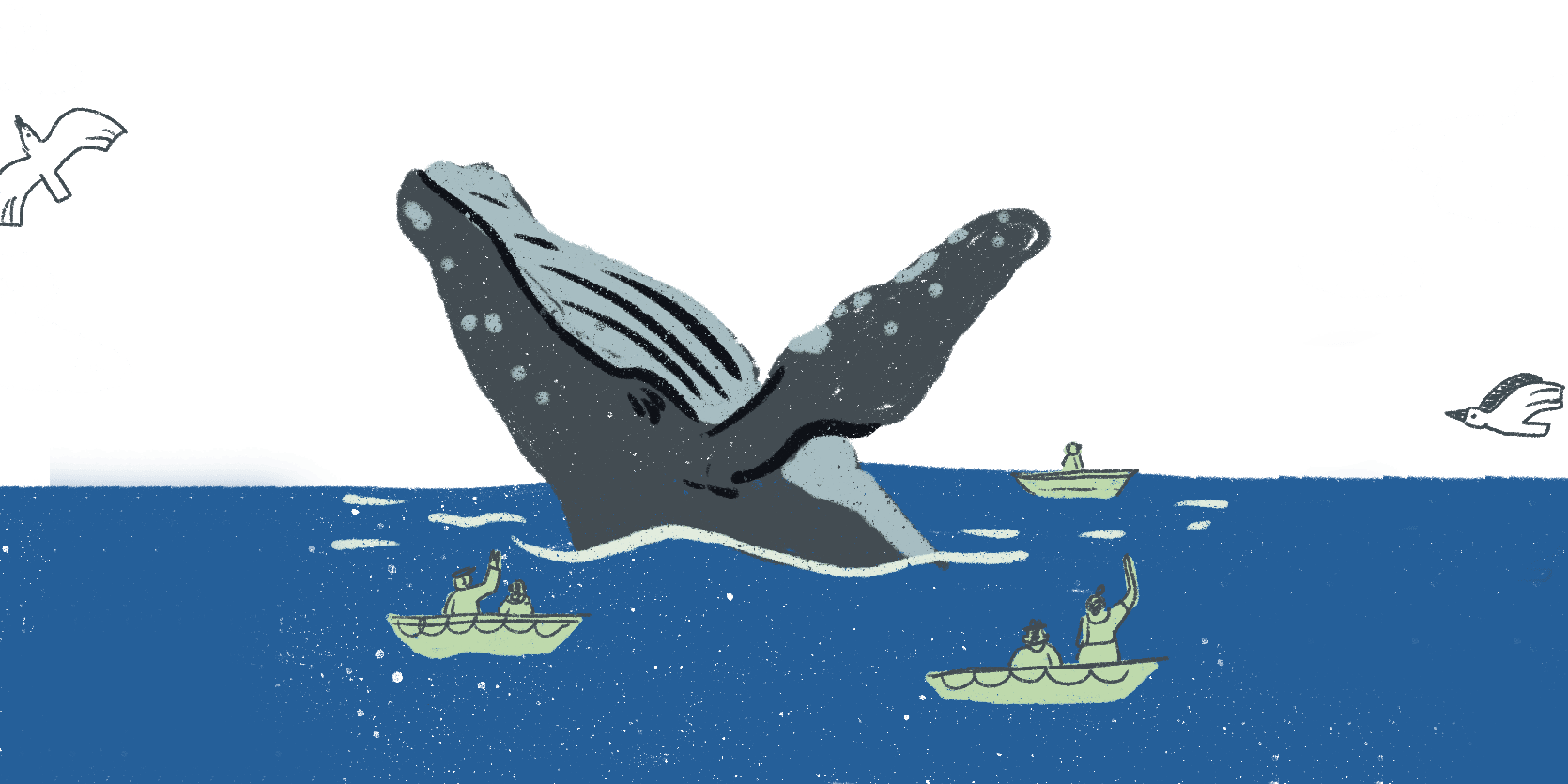 Whale next to fishing boats in the Gulf of California